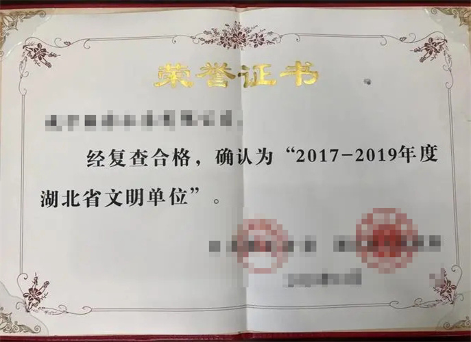 Certificate of Honor V Certificate of Honor V